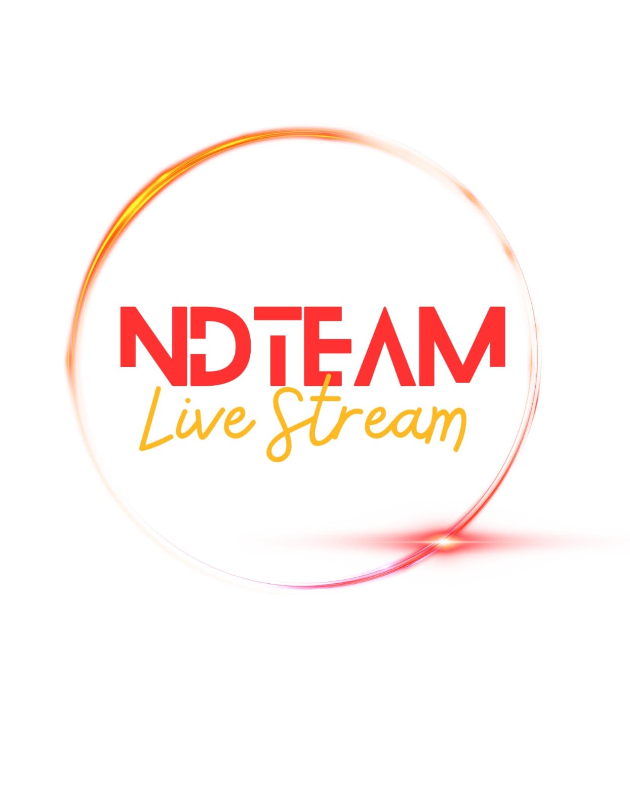 Logo NDTEAM LiveStream