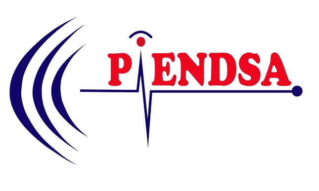 Logo Piendsa